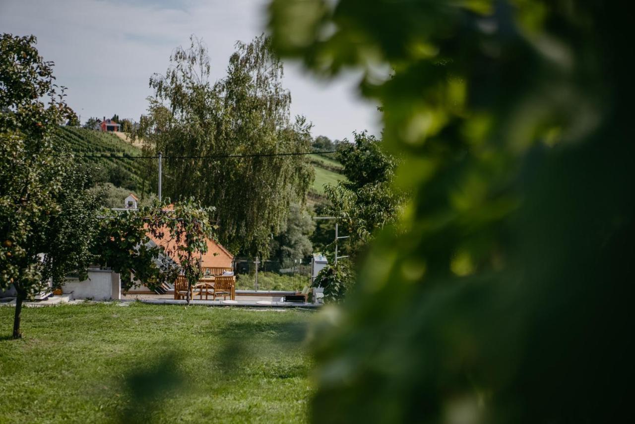 Wein Cottage Kellerstoeckl Eisenberg an der Pinka エクステリア 写真