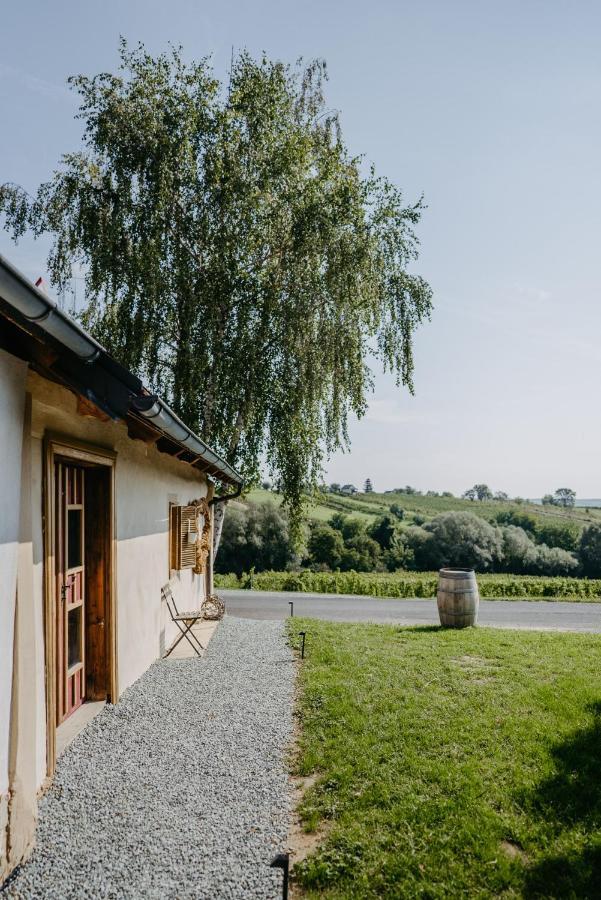 Wein Cottage Kellerstoeckl Eisenberg an der Pinka エクステリア 写真