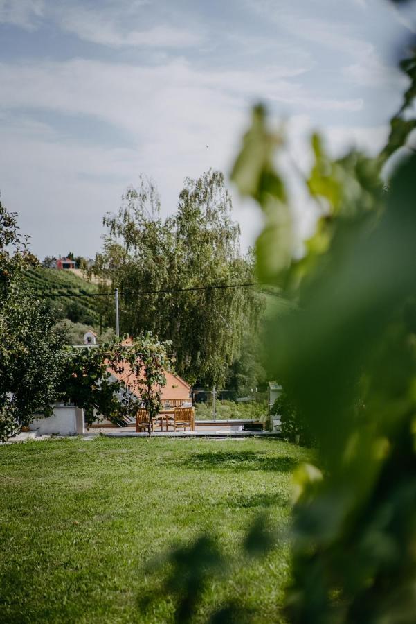 Wein Cottage Kellerstoeckl Eisenberg an der Pinka エクステリア 写真